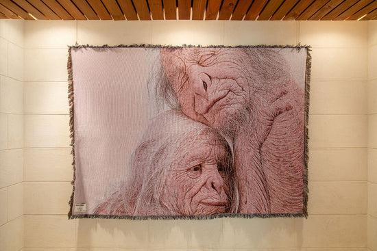 ALPHA60 X PATRICIA PICCININI  / SANCTUARY