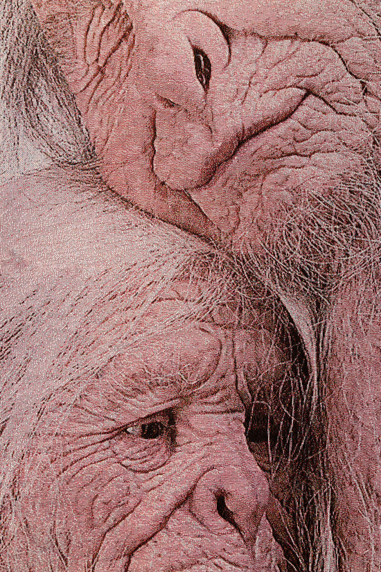 ALPHA60 X PATRICIA PICCININI  / SANCTUARY